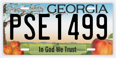 GA license plate PSE1499