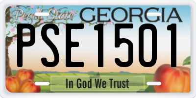 GA license plate PSE1501