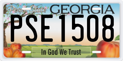 GA license plate PSE1508