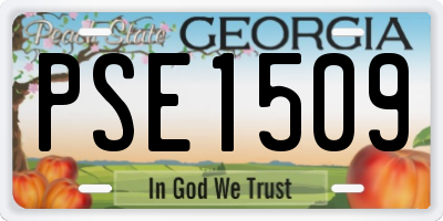 GA license plate PSE1509