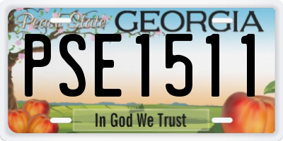 GA license plate PSE1511