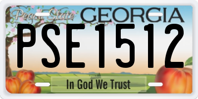 GA license plate PSE1512