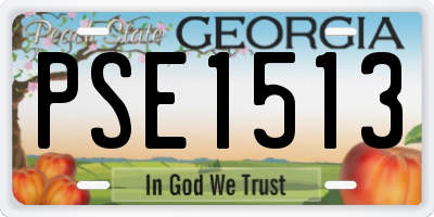 GA license plate PSE1513