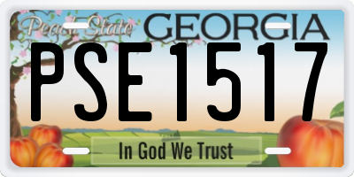 GA license plate PSE1517