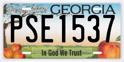 GA license plate PSE1537