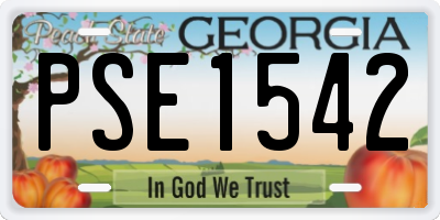 GA license plate PSE1542