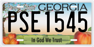 GA license plate PSE1545