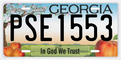 GA license plate PSE1553
