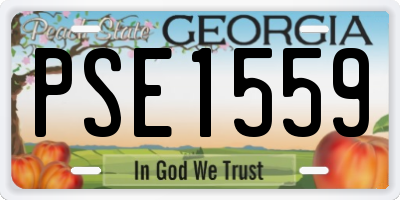GA license plate PSE1559