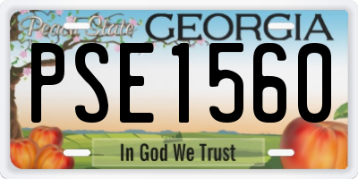 GA license plate PSE1560