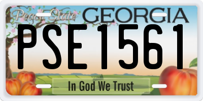 GA license plate PSE1561