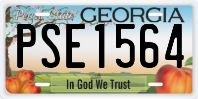 GA license plate PSE1564