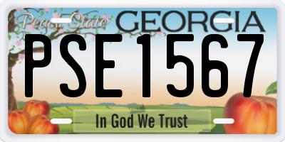 GA license plate PSE1567