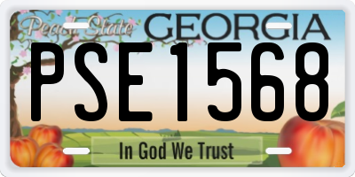 GA license plate PSE1568