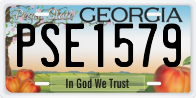 GA license plate PSE1579