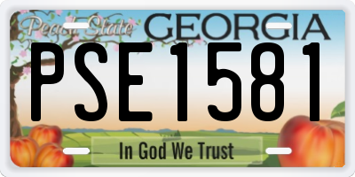 GA license plate PSE1581