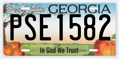 GA license plate PSE1582