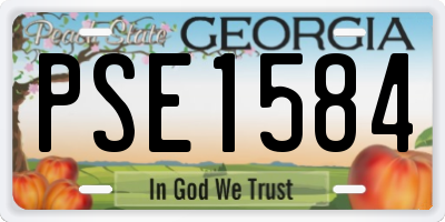 GA license plate PSE1584