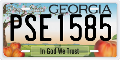 GA license plate PSE1585