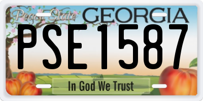GA license plate PSE1587