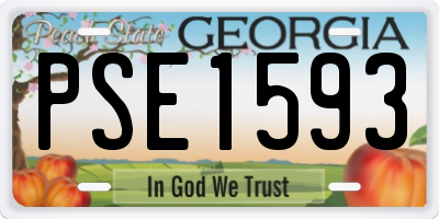 GA license plate PSE1593