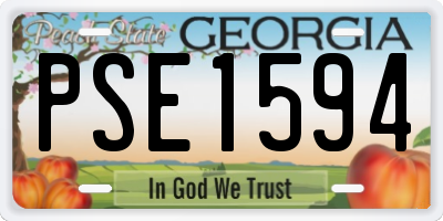 GA license plate PSE1594