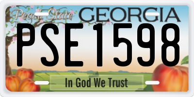 GA license plate PSE1598