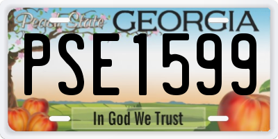 GA license plate PSE1599