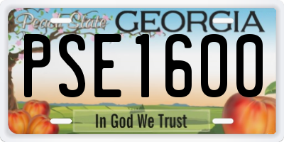 GA license plate PSE1600