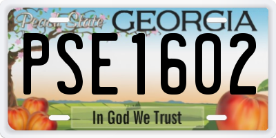 GA license plate PSE1602