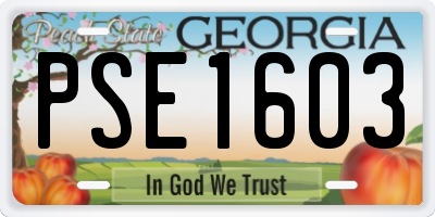 GA license plate PSE1603