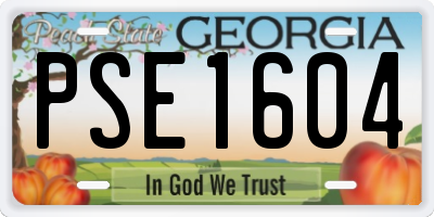 GA license plate PSE1604