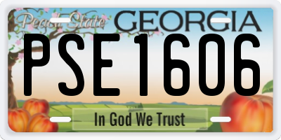 GA license plate PSE1606