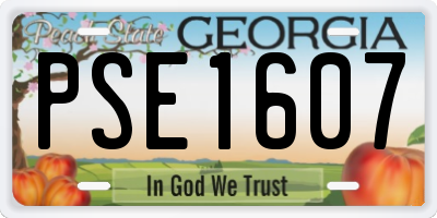 GA license plate PSE1607