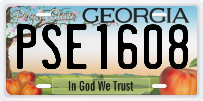GA license plate PSE1608