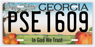 GA license plate PSE1609