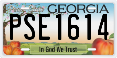 GA license plate PSE1614