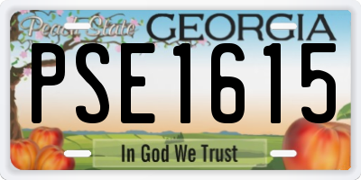 GA license plate PSE1615