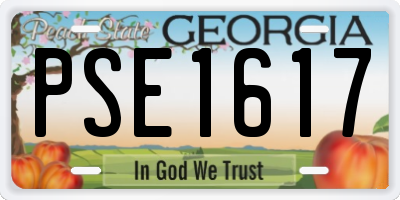 GA license plate PSE1617