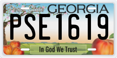 GA license plate PSE1619