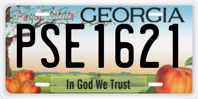 GA license plate PSE1621