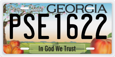 GA license plate PSE1622