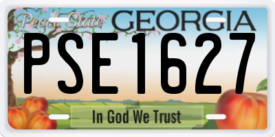 GA license plate PSE1627