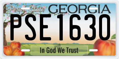 GA license plate PSE1630