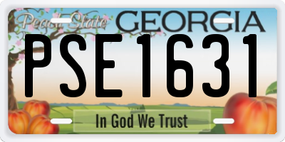GA license plate PSE1631