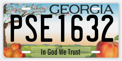 GA license plate PSE1632