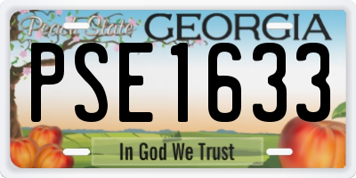 GA license plate PSE1633