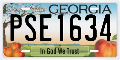 GA license plate PSE1634