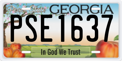GA license plate PSE1637