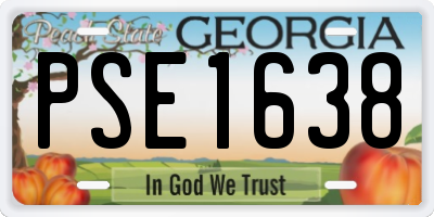 GA license plate PSE1638